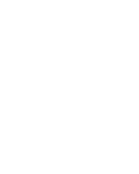 Logo watermark
