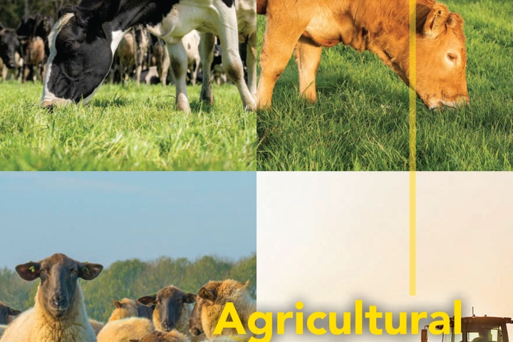 Barenbrug-Barforage-Product-Guide-2027.jpg