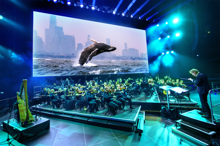 Whale-image-BBC-Studios.png